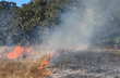 Karkala: Forest fire engulfs vast tracts of land
